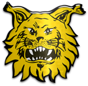 Ilves Tampere